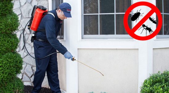 Bolvadin Fare İlaçlama böcek ilaçlama ve haşere kontrolü — ilaclama-tr.com